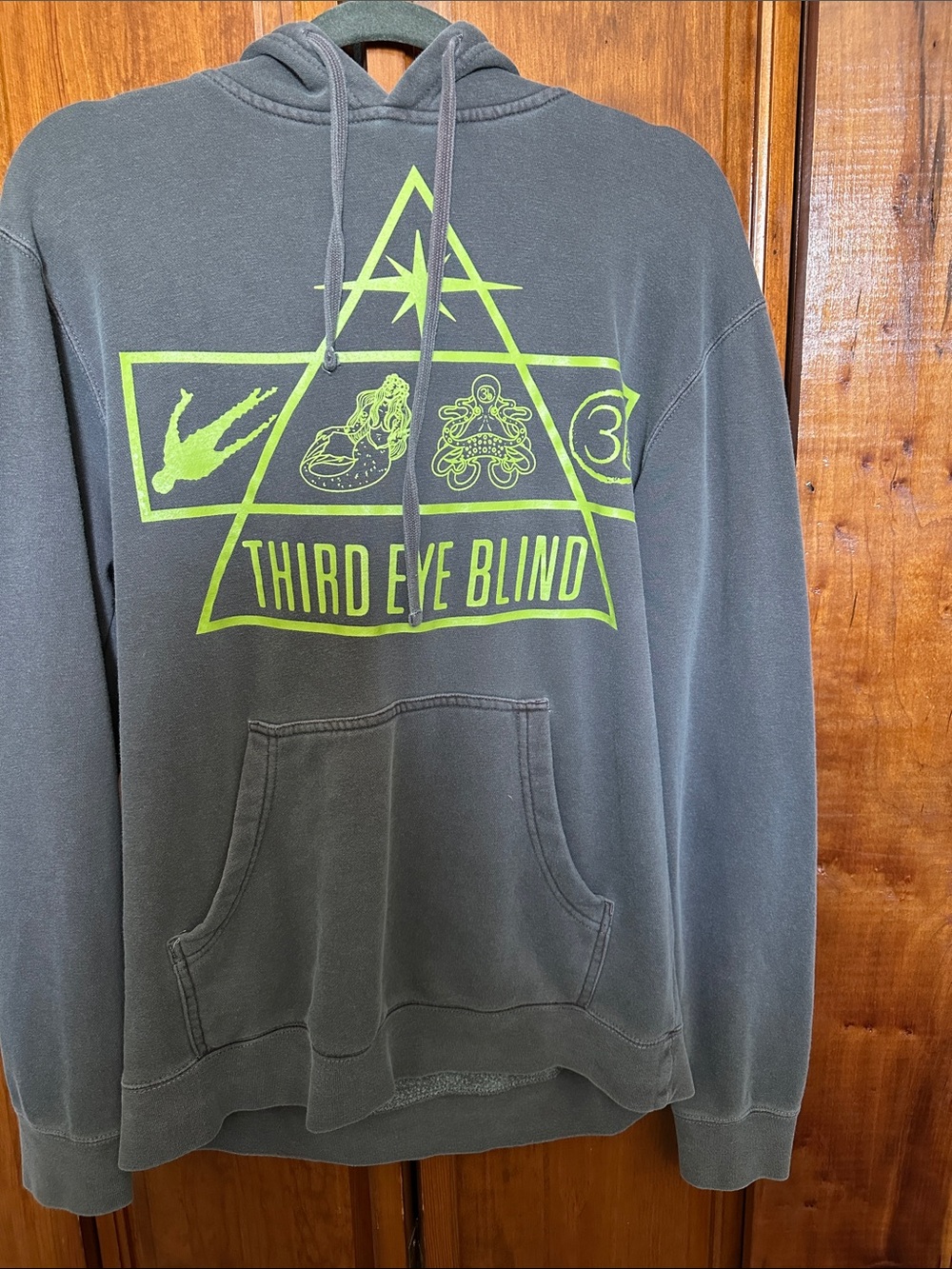Vintage Third Eye Blind  Band Graphic Hoodie - Gray with Neon Green Logo